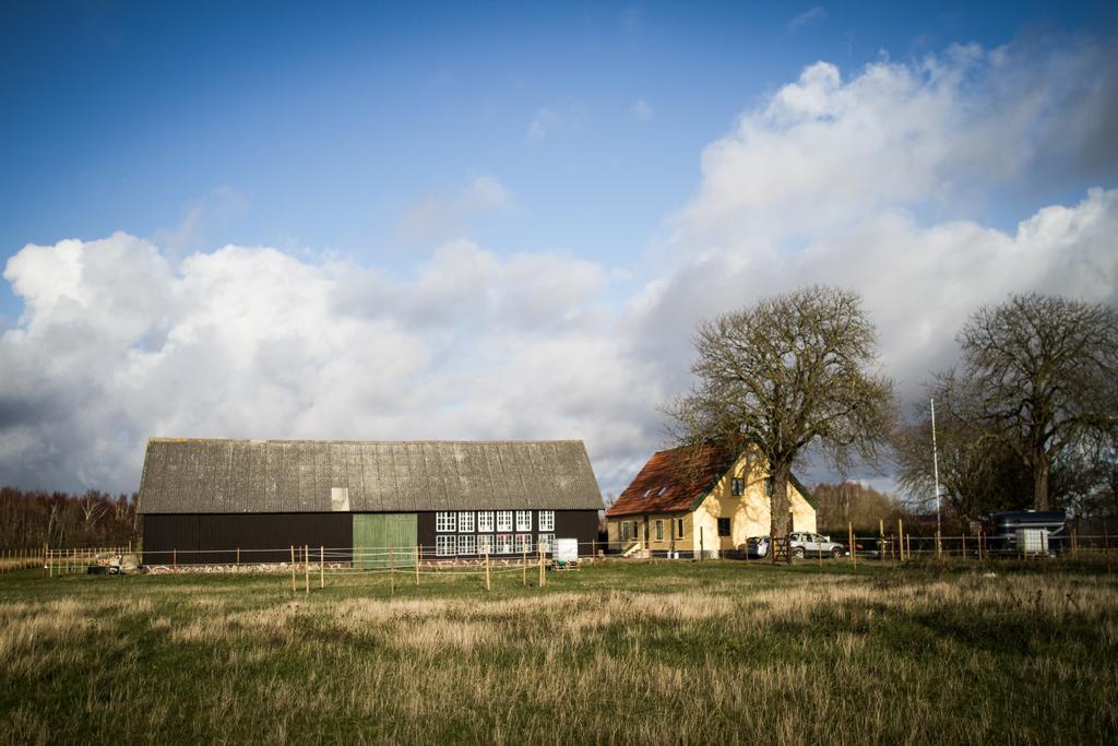 Froeken Hjorts Bed And Breakfast Höganäs 외부 사진